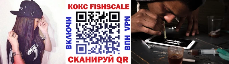 Купить где  Кашин  COCAIN Fish Scale 